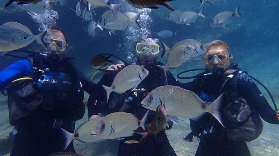 Antalya Scuba Diving Tour, With Lunch & Return Transfers - Who this tour suits best (and who should skip it)