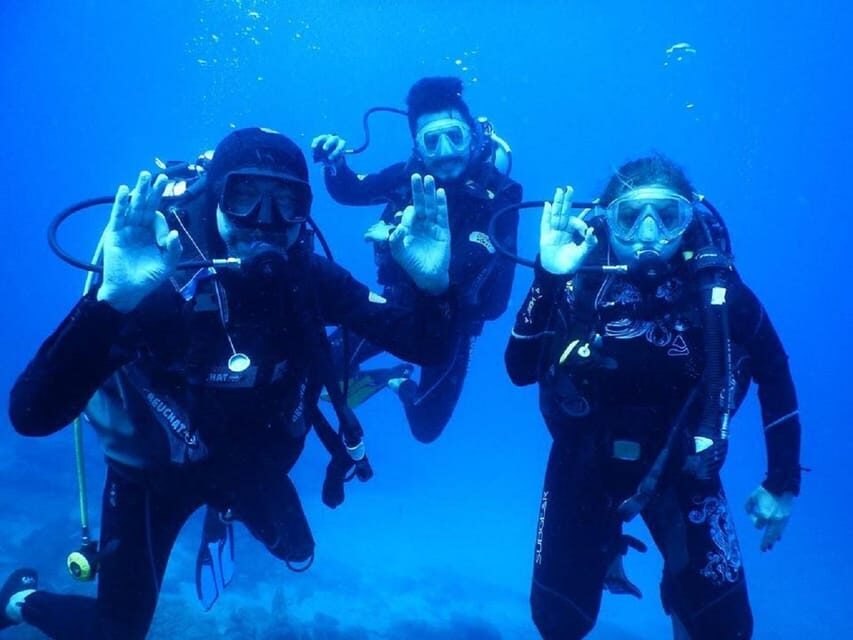 Antalya Scuba Diving Tour, With Lunch & Return Transfers - Getting to Setur Marina: the day starts with a shuttle and a clear schedule
