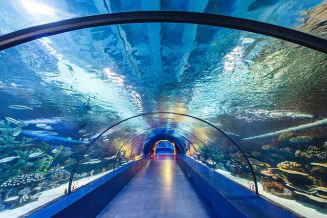Antalya Tunnel Aquarium - Departure from Side - Why this Side-to-Antalya package makes sense