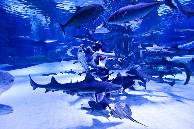 Antalya Tunnel Aquarium - Departure from Side - Antalya Tunnel Aquarium: your hour of tunnel time
