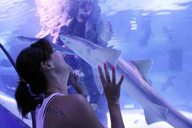 Antalya Tunnel Aquarium - Departure from Side - The day’s flow: waterfalls, aquarium, then Antalya Old City