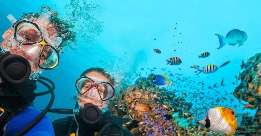 Belek: Scuba Diving in the Mediterranean Sea - Key Points Before You Go