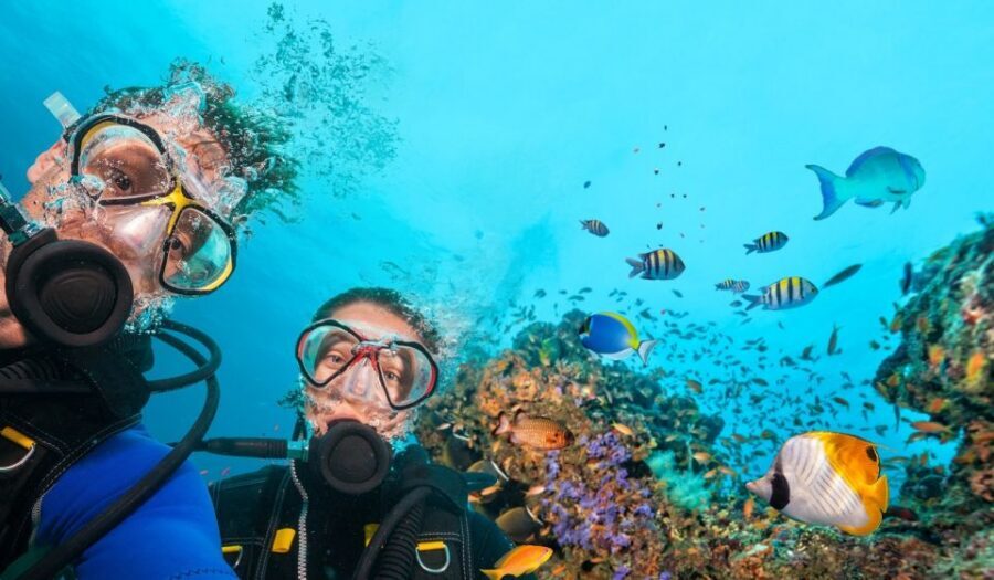 Belek: Scuba Diving in the Mediterranean Sea - Briefing, Gear, and Skill Checks: What Happens Before You Go Under
