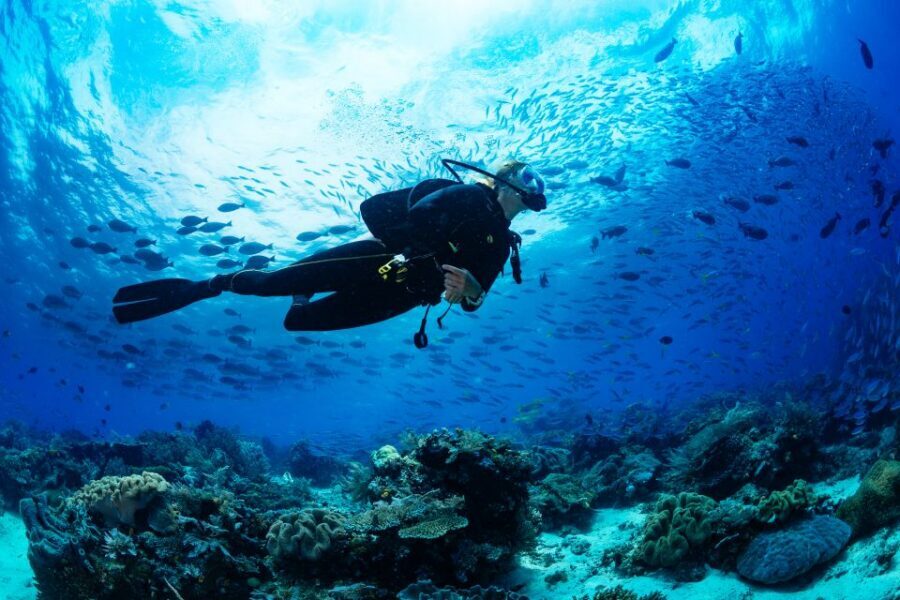Belek: Scuba Diving in the Mediterranean Sea - Boat Lunch on the Water: A Small Detail That Makes the Whole Day Easier