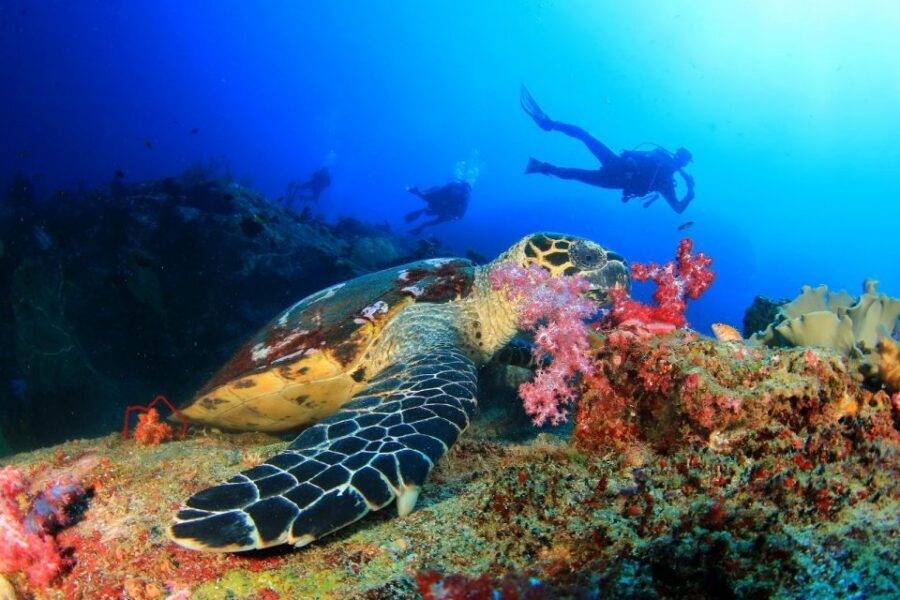 Belek: Scuba Diving in the Mediterranean Sea - Group Size, Waiting, and Cold Water Reality Checks