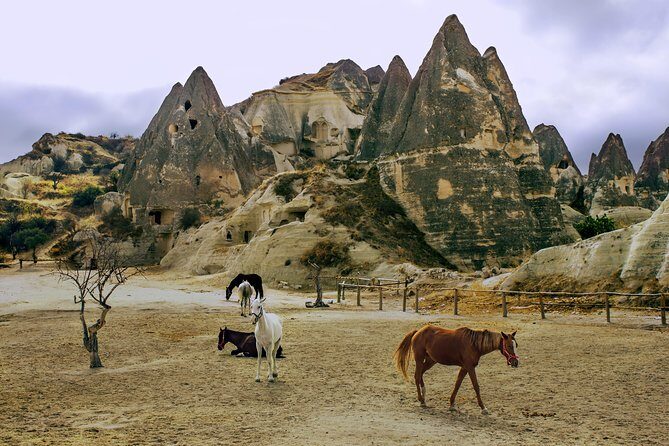 Cappadocia 2 Day Tour from Antalya - Optional balloon and optional Turkish shows: how to decide