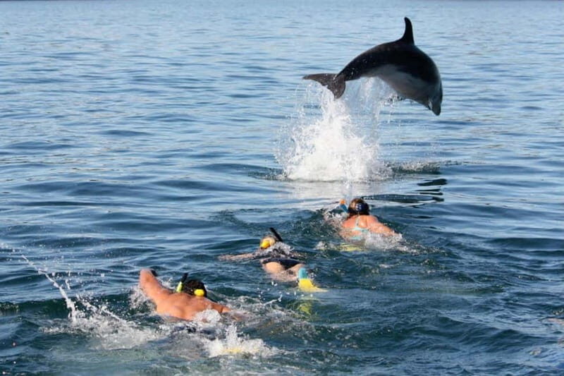 City Of Side: Dolphin Island Boat or Side Boat Tour Options - Two Routes From Side: Dolphin Island vs. Side River Meets Sea