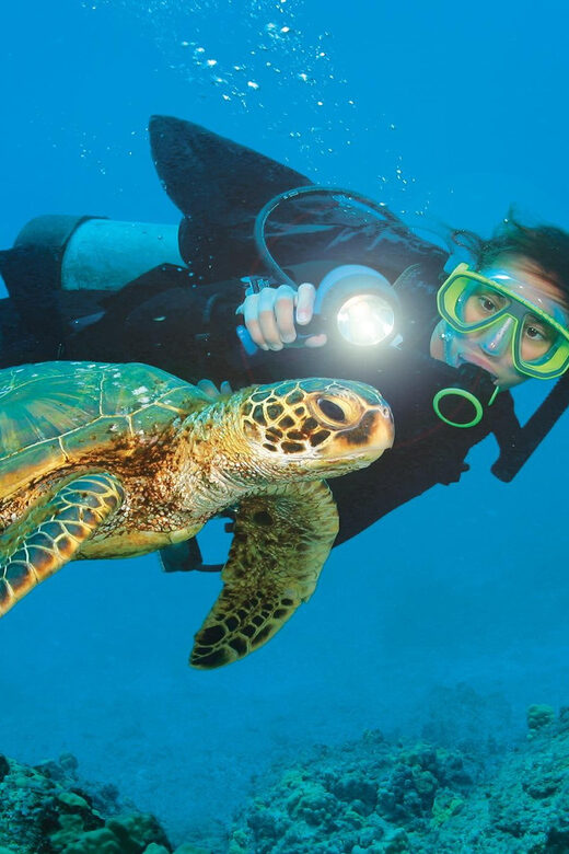 City Of Side: Dolphin Island Boat or Side Boat Tour Options - Is $22 a Good Deal for a 7–8 Hours by Boat?