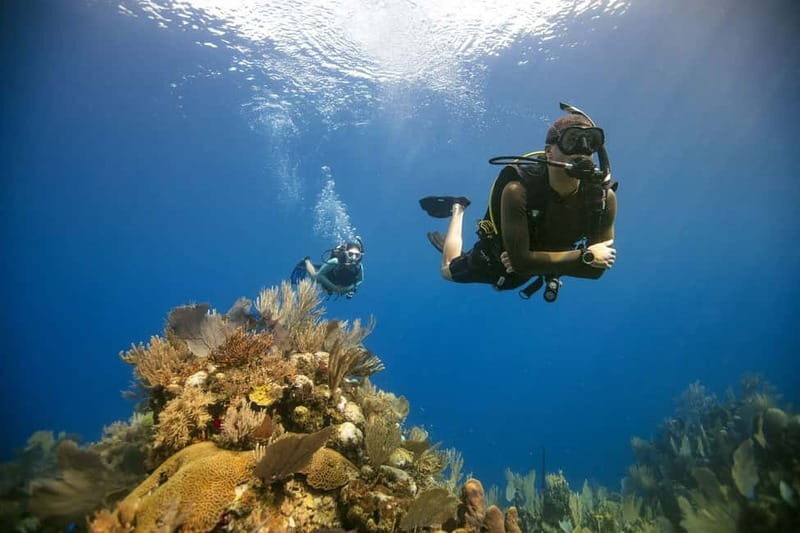 City of Side: Scuba Diving Underwater Museum with Pickup - Key highlights worth your attention