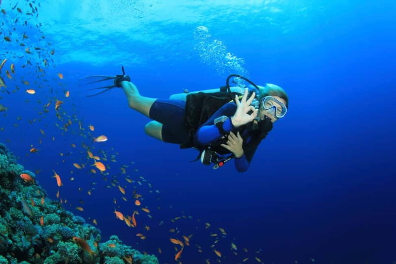 City of Side: Scuba Diving Underwater Museum with Pickup - Price and Value: Is $45 Fair for This Package?