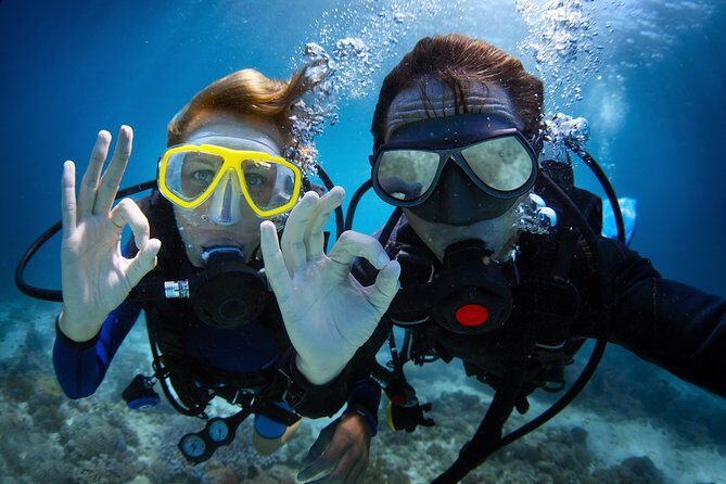 Diving in the Mediterranean sea - Key things to know before you go