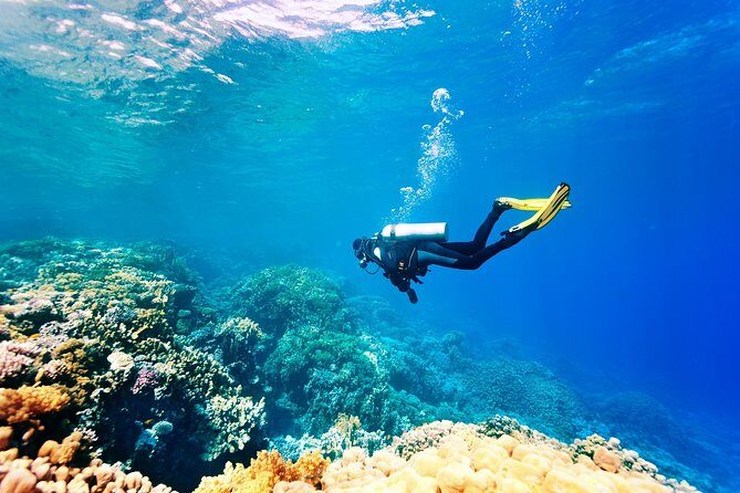 Diving in the Mediterranean sea - The 9:00 start, pickup reality, and how to plan your morning