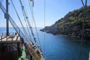Dolphin Island Boat Trip – Swim, Sun & Lunch Included - Getting on board at Manavgat: pickup, meeting point, and how to show up ready