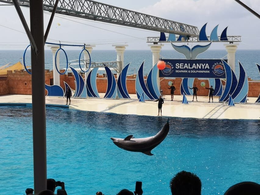Dolphin Park Entry with Live Show and Pickup - Booking basics: reserve now, adjust later