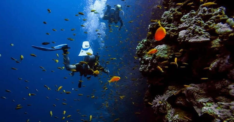 From Alanya: Scuba Diving Tour with Hotel Transfers - Who This Tour Suits Best (And Who Should Skip It)