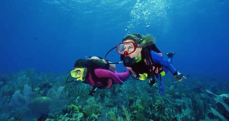 From Alanya: Scuba Diving Tour with Hotel Transfers - First Underwater Session: A Controlled Descent to 3 Meters