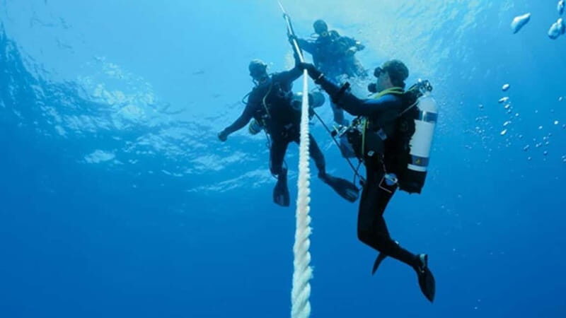 From Alanya: Scuba Diving Tour with Hotel Transfers - Afternoon Repeat at a Different Spot: More Time With Real Variety