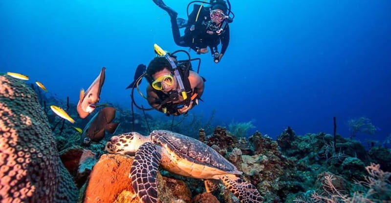 From Alanya: Scuba Diving Tour with Hotel Transfers - The Onboard Setup: Gear, Safety Rules, and Underwater Sign Language