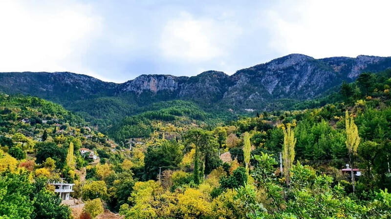 From Antalya: Jeep Safari Tour For All Ages - Turkish village life: fruit trees, a rural house visit, and a mosque