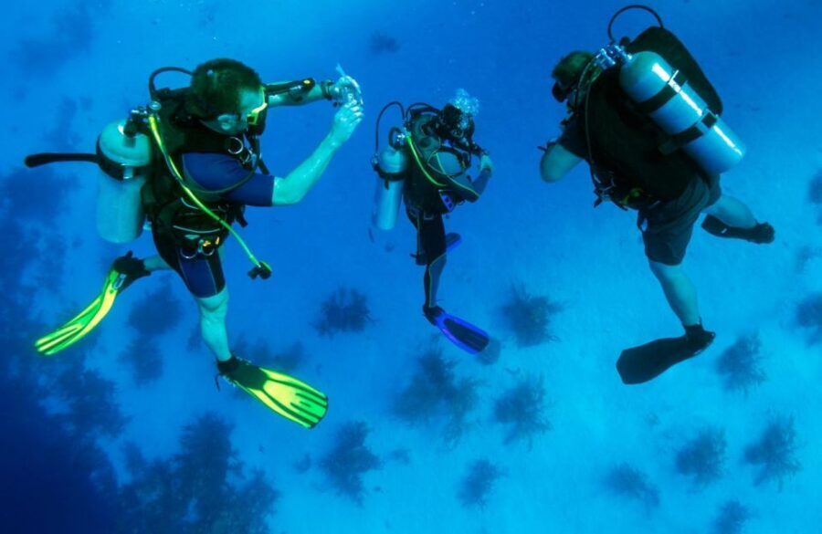 From Antalya| Kemer: Diving Tour with Experienced Instructor - Key things I’d mark before you go