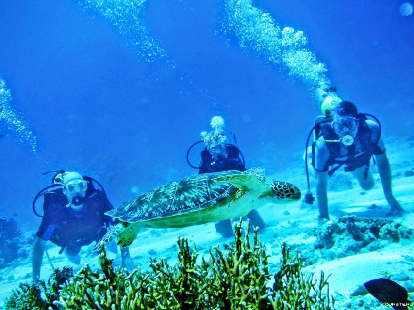 From Antalya| Kemer: Diving Tour with Experienced Instructor - Antalya-to-marina pickup and getting on the boat fast