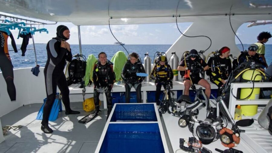 From Antalya| Kemer: Diving Tour with Experienced Instructor - First underwater session: wrecks, reefs, and what you should realistically aim to see