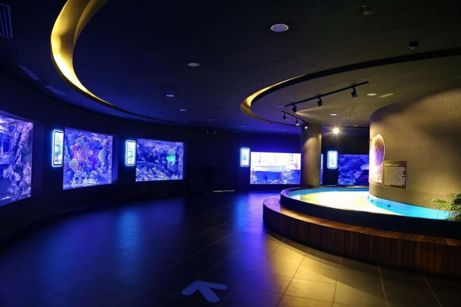 From city of Side: Antalya Aquarium Full-Day Trip - Key Things to Know Before You Go