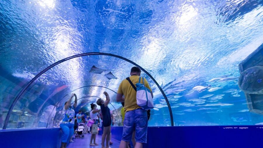 From city of Side: Antalya Aquarium Full-Day Trip - The Reality Check: Crowds, Noise, and Viewing Time