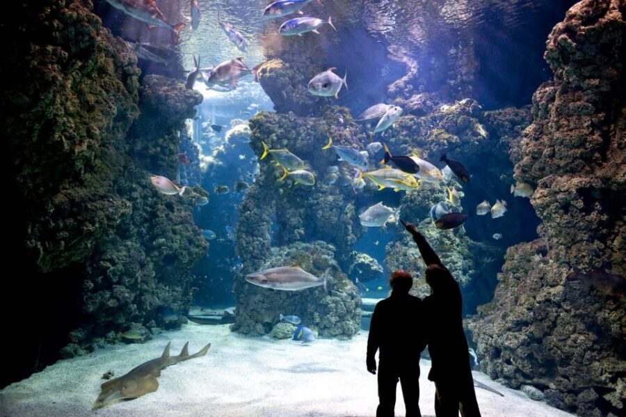 From city of Side: Antalya Aquarium Full-Day Trip - Price and Value: Is $77 a Good Deal for What You Get?