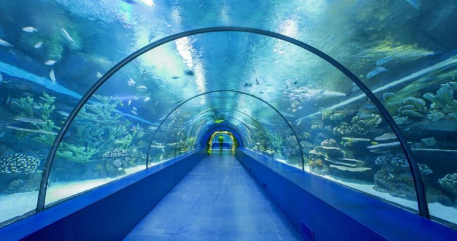From city of Side: Antalya Aquarium Full-Day Trip - Who This Trip Suits Best (and Who Might Feel Frustrated)