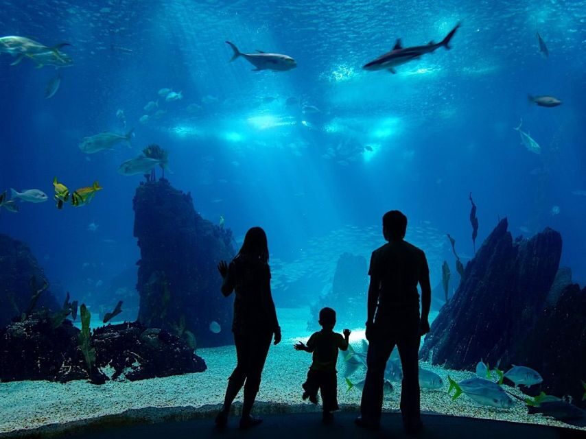 From city of Side: Antalya Aquarium Full-Day Trip - Hotel Pickup, Bus Rides, and How to Make the Timing Work