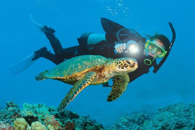 From Side, Alanya: Scuba Diving With 2 Time Dive & Lunch - Key things to know before you go