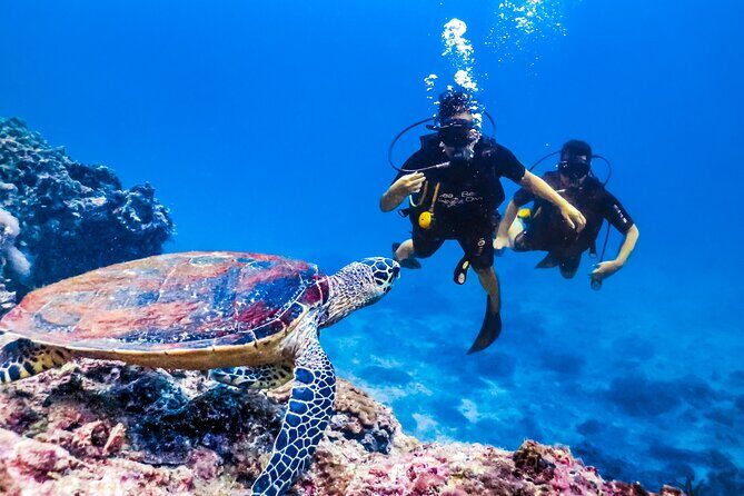 From Side, Alanya: Scuba Diving With 2 Time Dive & Lunch - Lunch on the boat and your swim/sun break