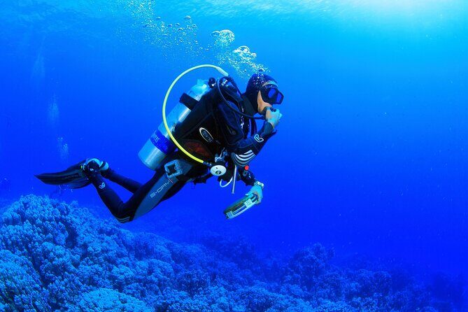 From Side, Alanya: Scuba Diving With 2 Time Dive & Lunch - Second underwater session at 7–8 meters: what to notice