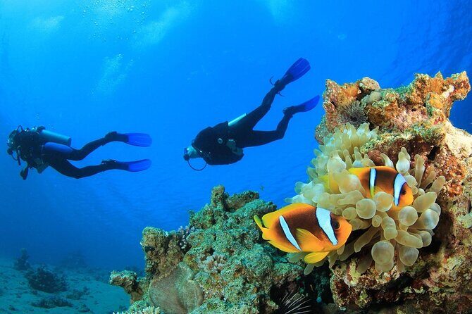 From Side, Alanya: Scuba Diving With 2 Time Dive & Lunch - Price and value: does $45.38 make sense?