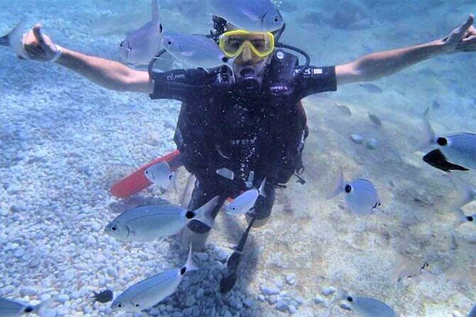 From Side, Alanya: Scuba Diving With 2 Time Dive & Lunch - Logistics that matter: timing, crowds, and group size