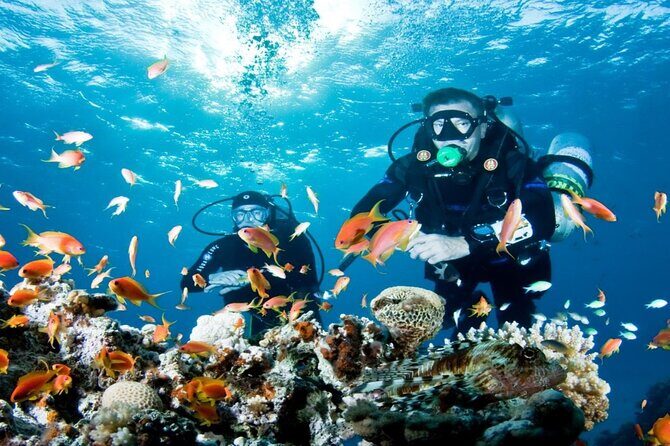 From Side, Alanya: Scuba Diving With 2 Time Dive & Lunch - Training first, then your first underwater time (3–5 meters)