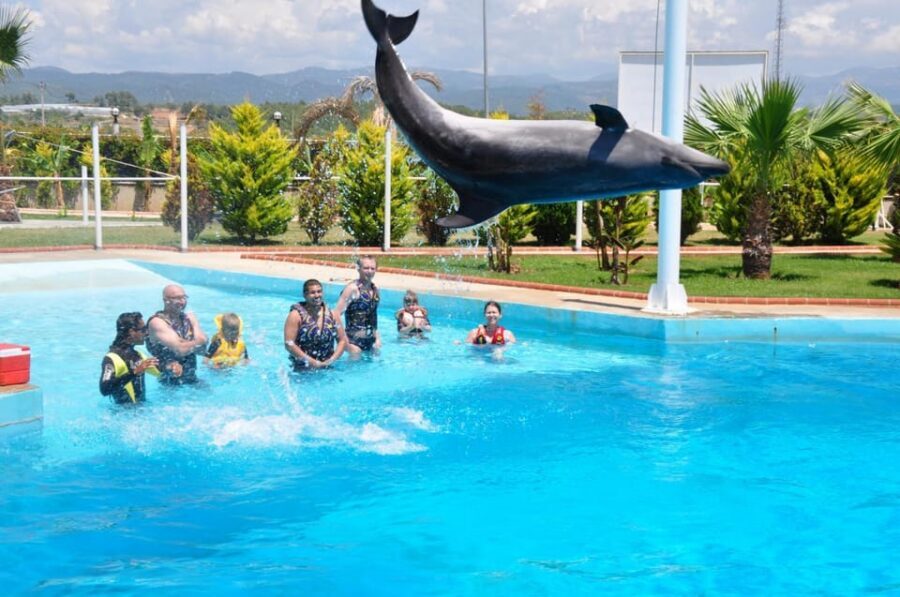 From Side Dolphin and Seal Show Ticket with Hotel Transfers - The seal portion: quick comedy with real agility