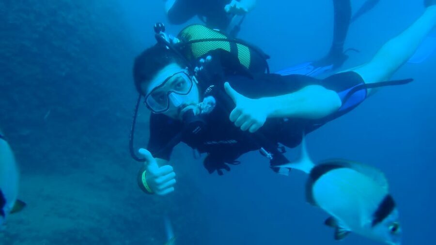 From Side: Guided Scuba Diving in Alanya w/ Lunch & Transfer - Should You Book Guided Scuba in Alanya with Lunch and Transfer?
