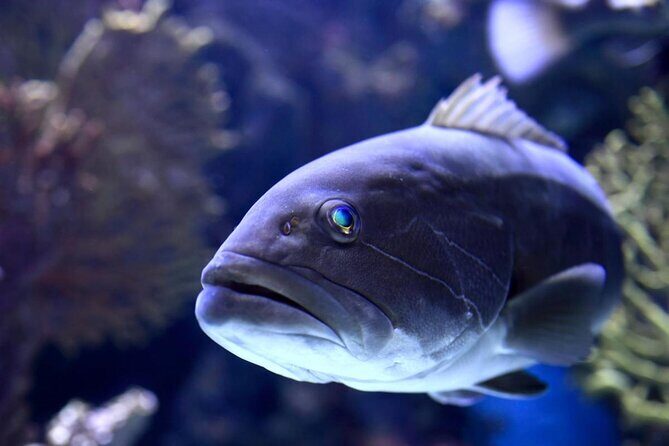 Half Day Antalya Aquarium Tour And Wax Museum - Key Highlights at a Glance