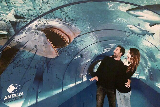 Half Day Antalya Aquarium Tour And Wax Museum - Afternoon Timing That Works: Aquarium First, Wax Museum Second