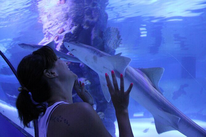 Half Day Antalya Aquarium Tour And Wax Museum - Face2Face Wax Museum: Lifesize Celebrities in About 30 Minutes