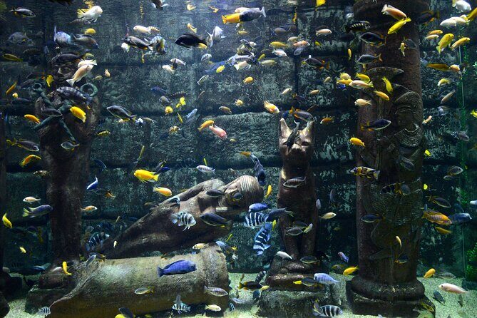 Half Day Antalya Aquarium Tour And Wax Museum - What You Actually Get for $70: Value in Included Tickets and Transport