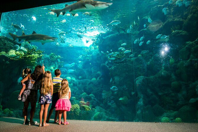 Half Day Antalya Aquarium Tour And Wax Museum - Who This Tour Is Best For (and Who Might Skip It)