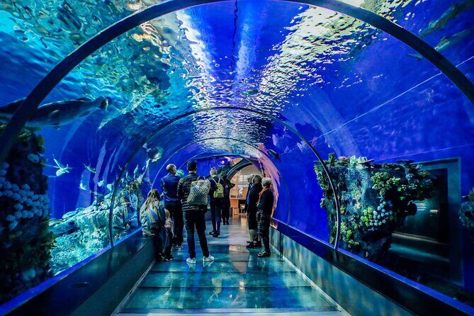 Half Day Antalya Aquarium Tour And Wax Museum - Should You Book This Half-Day Antalya Aquarium and Wax Museum Tour?