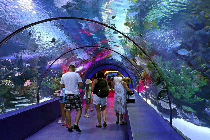 Half Day Antalya Aquarium Tour And Wax Museum - Antalya Aquarium: Big Rooms, Themed Areas, and a Tunnel That’s Worth the Time