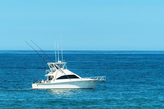 Half-Day Private Fishing Experience in Alanya - Why $35 Can Be a Strong Deal for a Private Half-Day