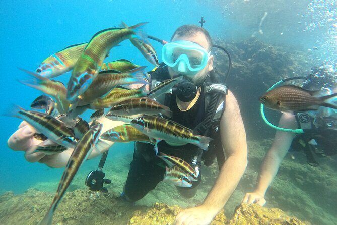 Half Day Scuba Diving @ Duden Waterfalls - Price and Value: Is $115.76 Worth It?