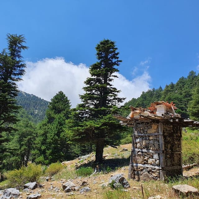 Hiking Tour At The Taurus Mountains of Alanya - Price and Value: What $51 Gets You (And What You Still Pay For)