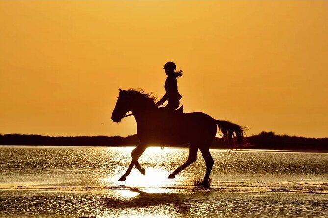 Horse Riding in Manavgat Side Forest and Beach - Key Highlights You’ll Actually Care About